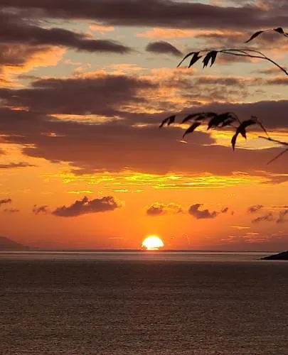 Konukevi Sunset Boulevard